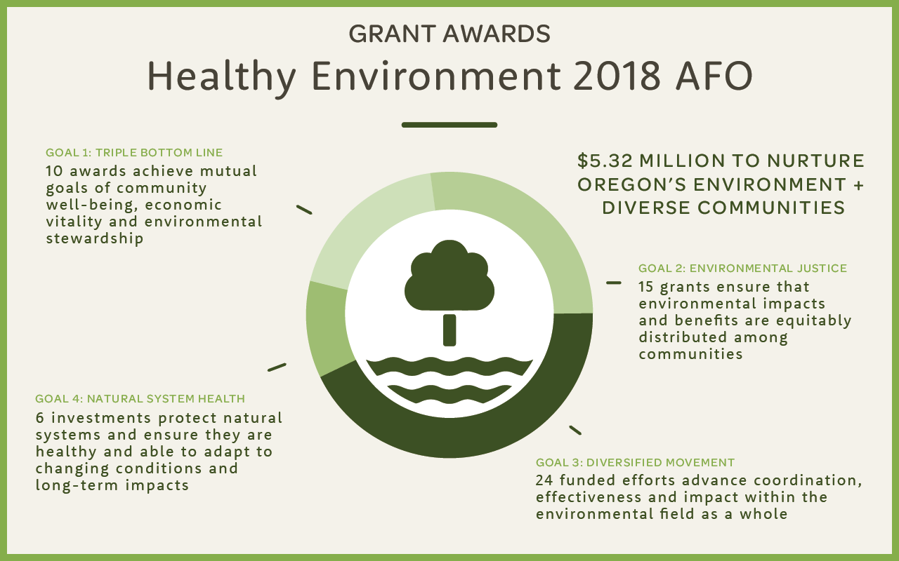 diversifying-our-environmental-movement-healthy-environment-portfolio