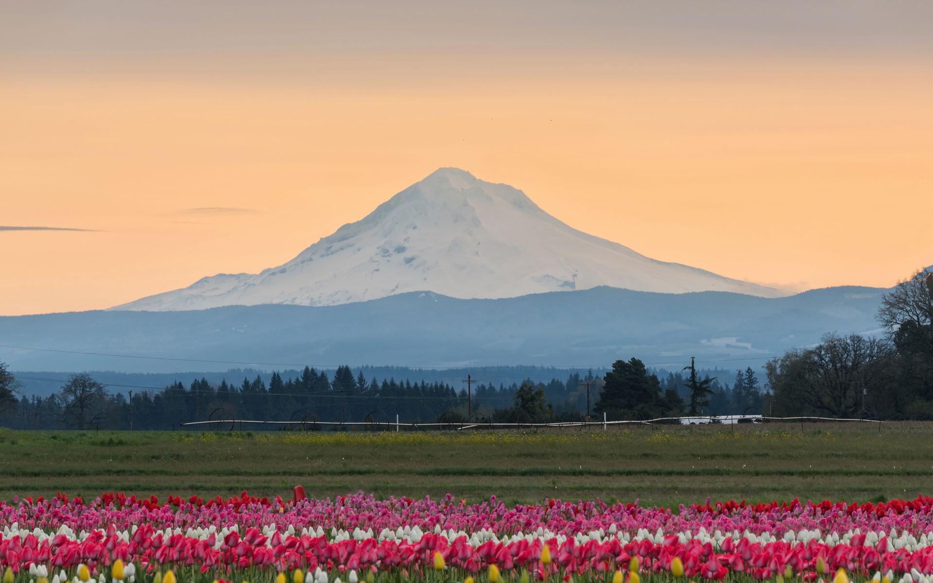 Nonprofit organizations in Oregon are working to rapidly respond to the COVID-19 outbreak in communities across the state.  Last month, we joined our foundation partners and earmarked $1.3 million in new funding to support these organizations