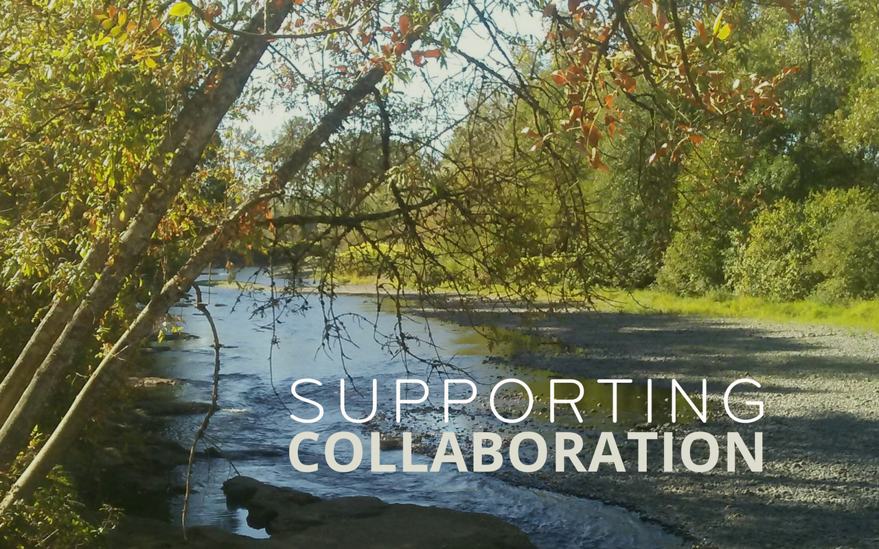 Supporting collaboration