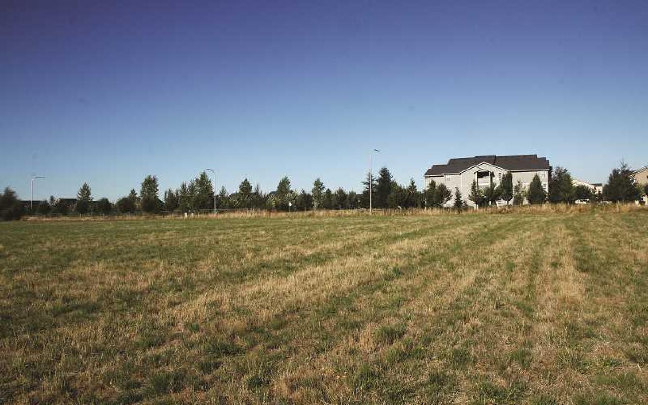 An empty lot covered with grass stretches under a blue sky.