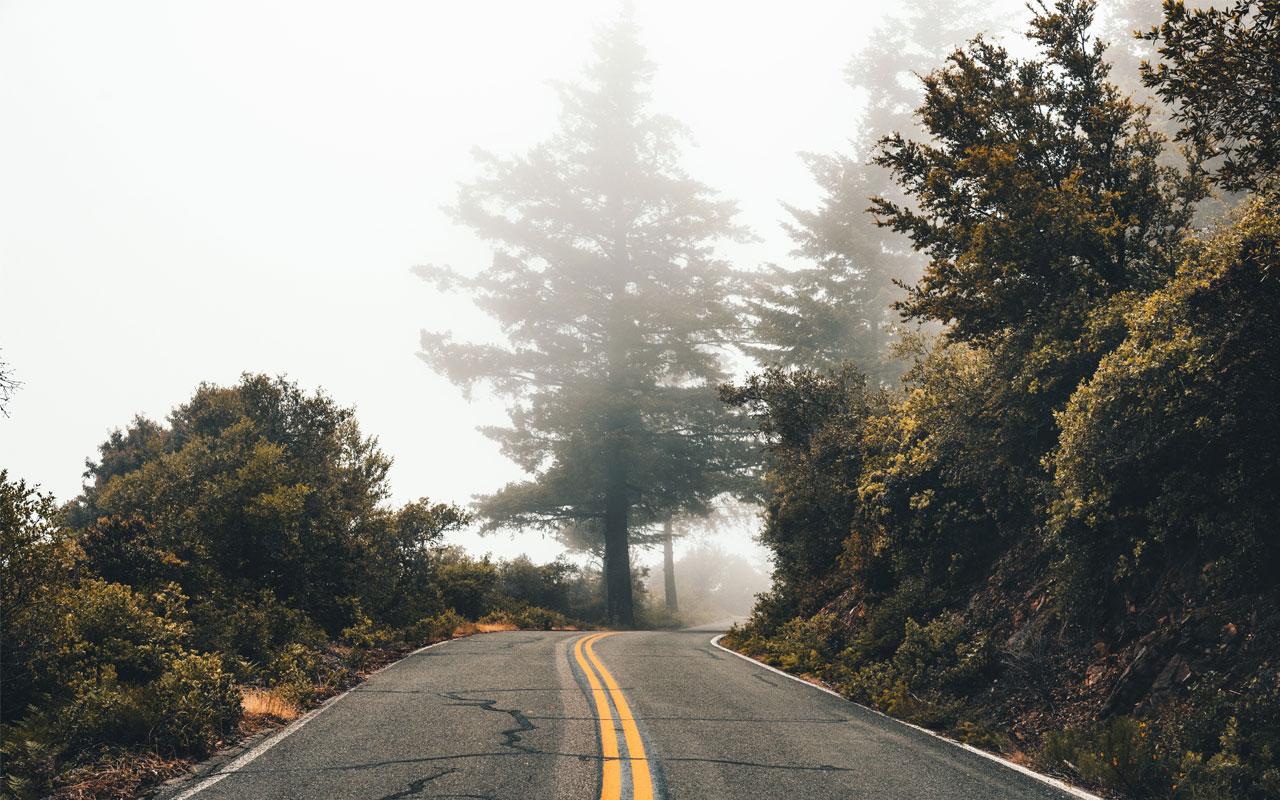 A foggy winding road.