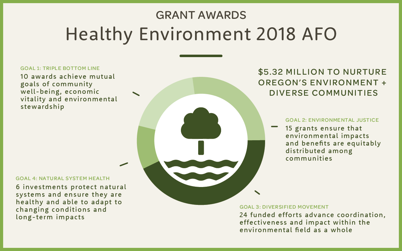 Diversifying our environmental movement: Healthy Environment portfolio awards $4 million in grants