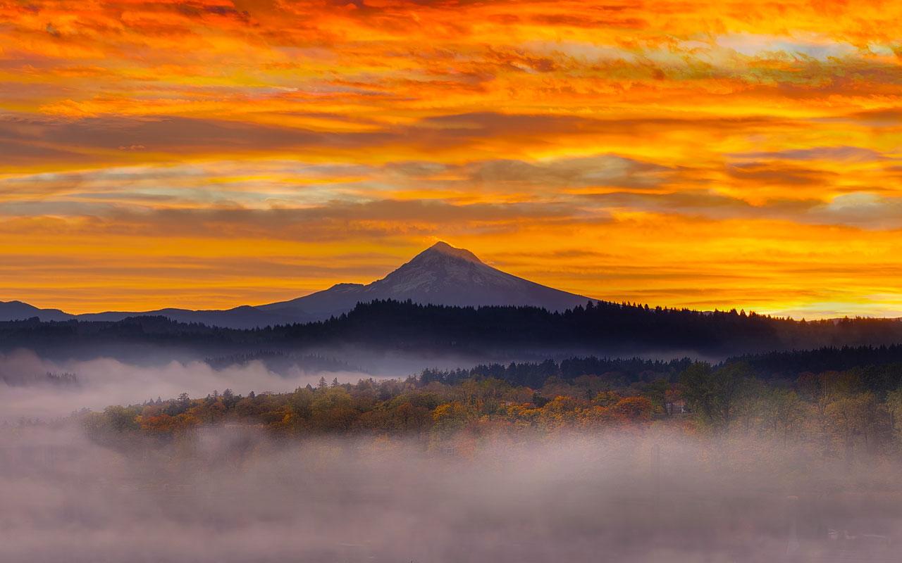 Photo caption: A mist covers the canopy of a forest in front of Mount Hood in Oregon, atop an amber horizon during sunrise.