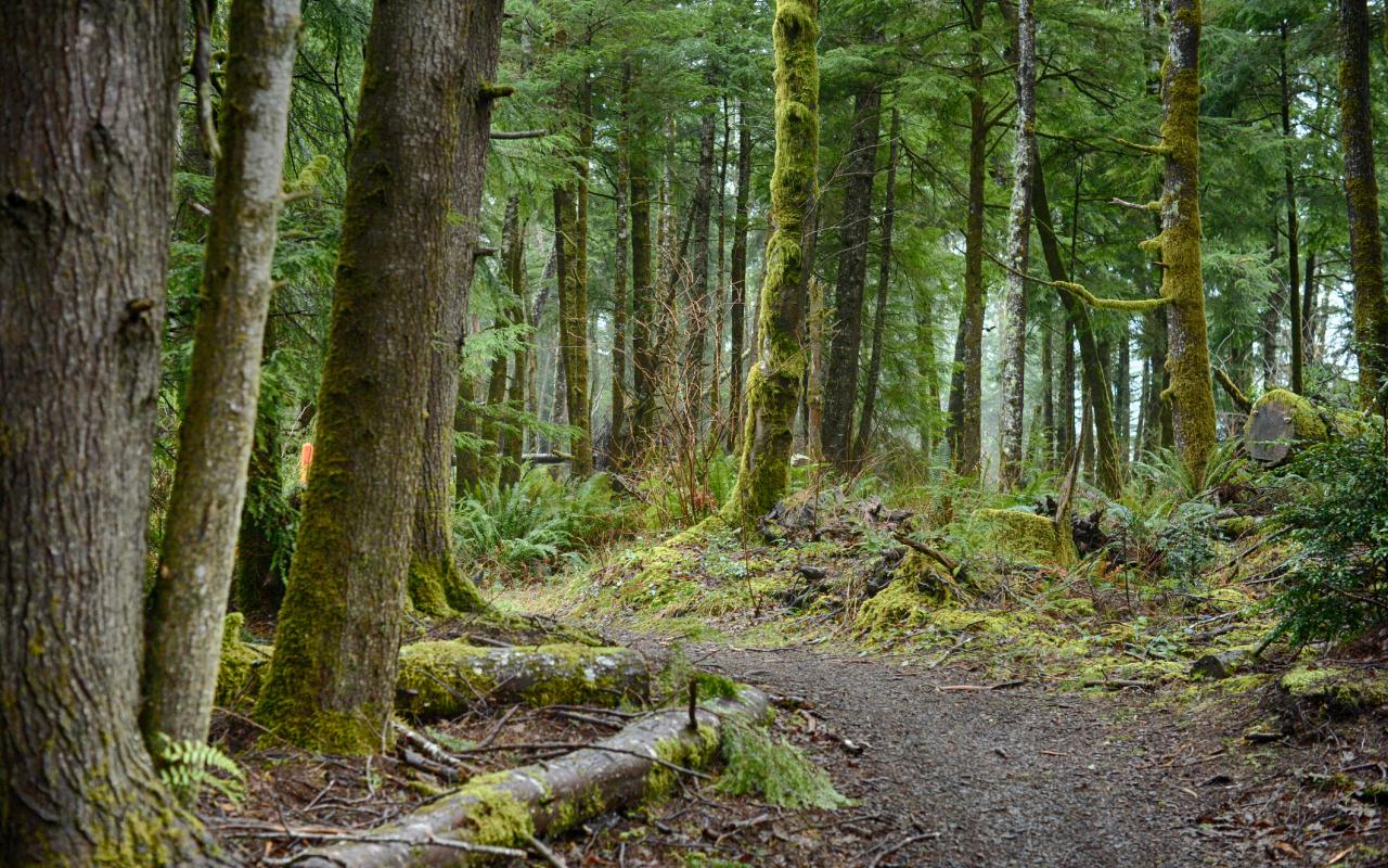 A tract of land near the Warrenton Waterfront Trail was recently purchased by the Chinook Indian Nation.