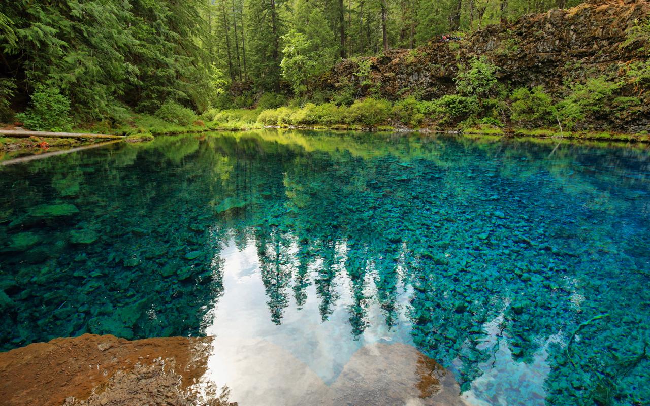 Tamolitch Falls is a unique Oregon feature west of Eugene where the McKenzie River surfaces from underground lava fields to create this extraordinary Blue Pool