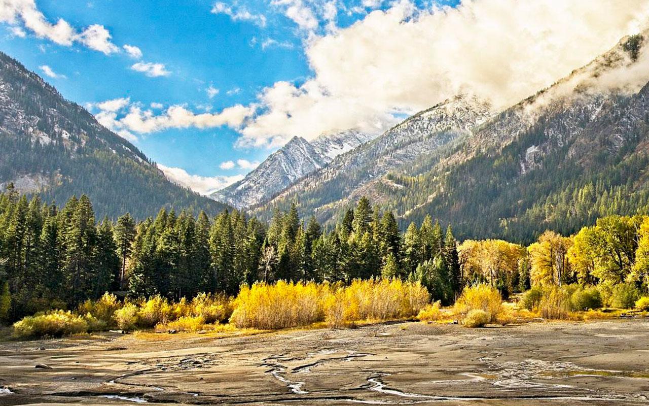 The new conservation easement will preserve the Wallowa River’s eastern channel and wetland areas from future development. Photo by Ellen Morris Bishop/For the Wallowa County Chieftain.