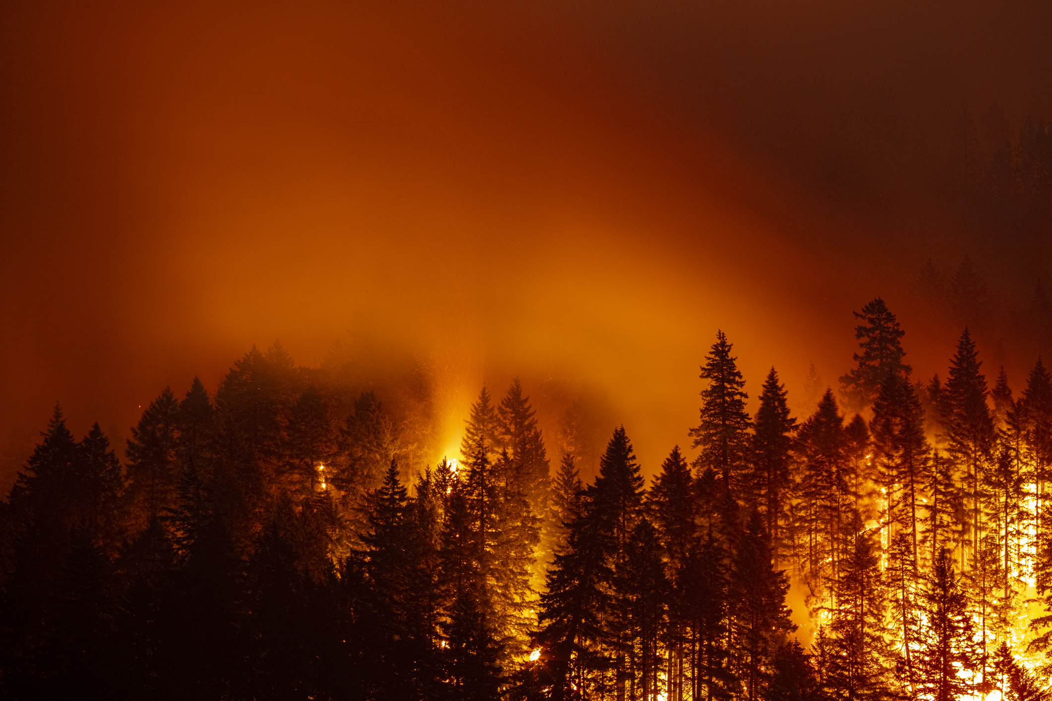 Picture of Oregon wildfires in 2021